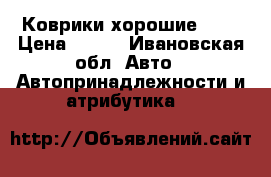Коврики хорошие !!  › Цена ­ 500 - Ивановская обл. Авто » Автопринадлежности и атрибутика   